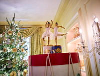 Details of 2023 Vermeil Room Holiday Decorations, Biden Administration