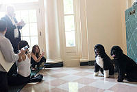 Bo and Sunny Welcome White House Visitors