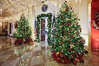 2024 Cross Hall Holiday Decorations, Biden Administration