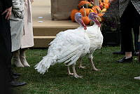 2023 Turkey Pardon Ceremony, Biden Administration