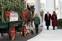 President and Mrs. Trump Welcome the 2018 White House Christmas Tree