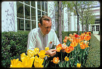 Irvin Williams Tends to Tulips in the Jacqueline Kennedy Garden