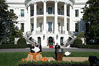 2022 Turkey Pardon Ceremony, Biden Administration