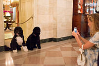 Bo and Sunny Welcome White House Visitors