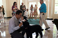 Bo and Sunny Welcome White House Visitors