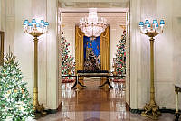 2019 Holiday Decorations in the Cross Hall