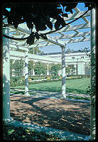 East Garden Pergola, Johnson Administration