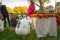 Turkey Pardon Ceremony, 2021