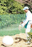 Helpers Hide Eggs for the 2015 Easter Egg Hunt