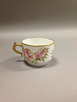 Pink Magnolia and Gilt Banded Teacup