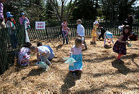 Egg Hunt at the 2015 White House Easter Egg Roll