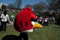 "Angry Birds" at the 2015 White House Easter Egg Roll