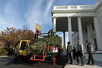 National Park Service Employees Move Blue Room Christmas Tree