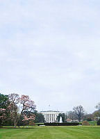 6171.tif