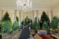 Decorating of the Entrance Hall for the 2018 Holiday Season