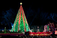 National Christmas Tree Lighting 2018