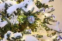 2021 Official White House Christmas Ornament in the East Garden Room