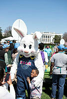 The PAAS Easter Bunny Greets a Child at the 2015 Easter Egg Roll