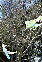 Kites in Trees at the 2015 White House Easter Egg Roll