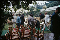 Wedding Frenzy in the Rose Garden