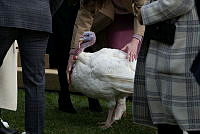 2023 Turkey Pardon Ceremony, Biden Administration