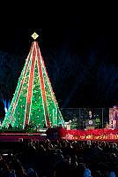National Christmas Tree Lighting 2018