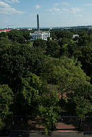 1128873.jpg