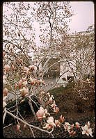 1123519.tif