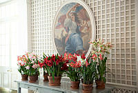 Spring in the West Garden Room, Obama Administration
