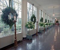 Christmas Decorations in the East Colonnade, 1985