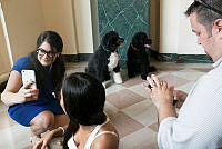 Bo and Sunny Welcome White House Visitors