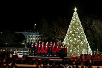 West Tennessee Youth Chorus Performs at the 2019 Christmas Tree Lighting