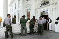 National Park Service Employees Move Blue Room Christmas Tree