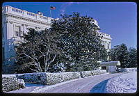 Snow Covered Jackson Magnolias on the South Grounds