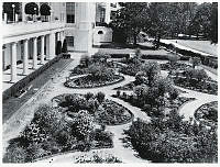 Edith Roosevelt's Colonial Garden