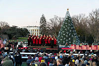 West Tennessee Youth Chorus Performs at the 2019 Christmas Tree Lighting