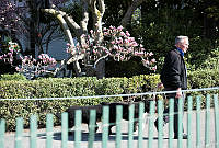 Dale Haney Walks Bo and Sunny