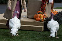 2023 Turkey Pardon Ceremony, Biden Administration