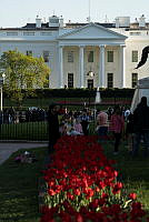 1139741.tif