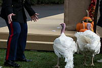 2023 Turkey Pardon Ceremony, Biden Administration