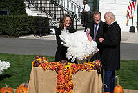 2022 Turkey Pardon Ceremony, Biden Administration