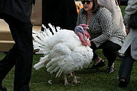 2023 Turkey Pardon Ceremony, Biden Administration