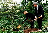President and Mrs. Clinton Plant a Tree in Memory of the Victims of the Oklahoma City Bombing