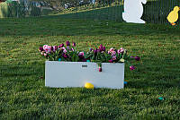 1137500.tif