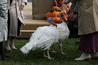 2023 Turkey Pardon Ceremony, Biden Administration