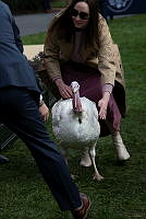 2023 Turkey Pardon Ceremony, Biden Administration