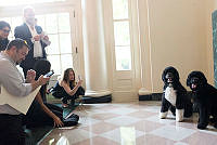 Bo and Sunny Welcome White House Visitors