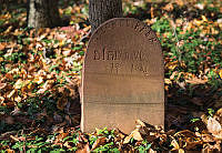 1113610.jpg