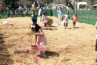 Egg Hunt at the 2015 White House Easter Egg Roll