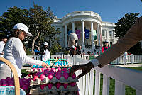 Volunteers at the 2023 Easter Egg Roll